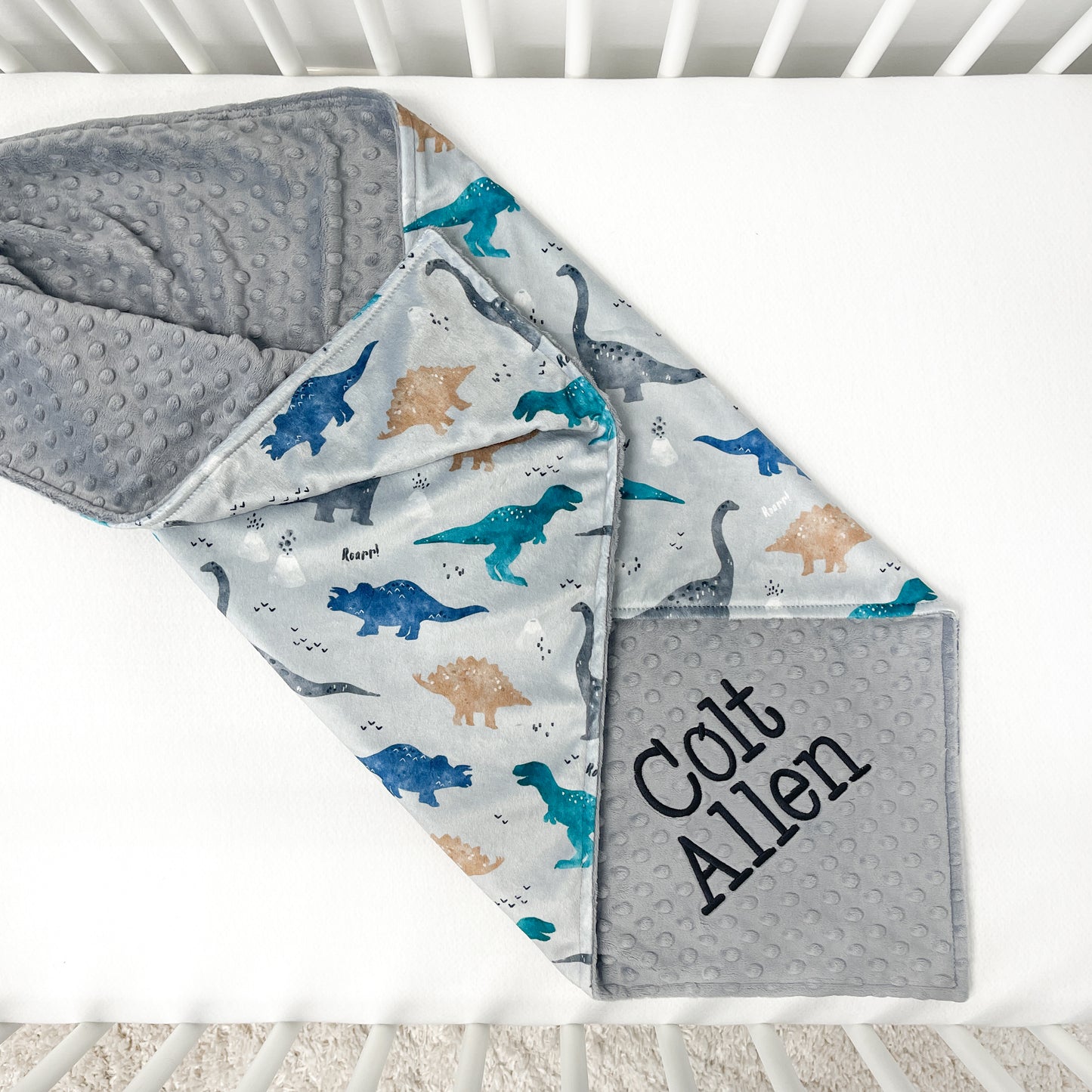 DINOSAUR BABY BLANKET