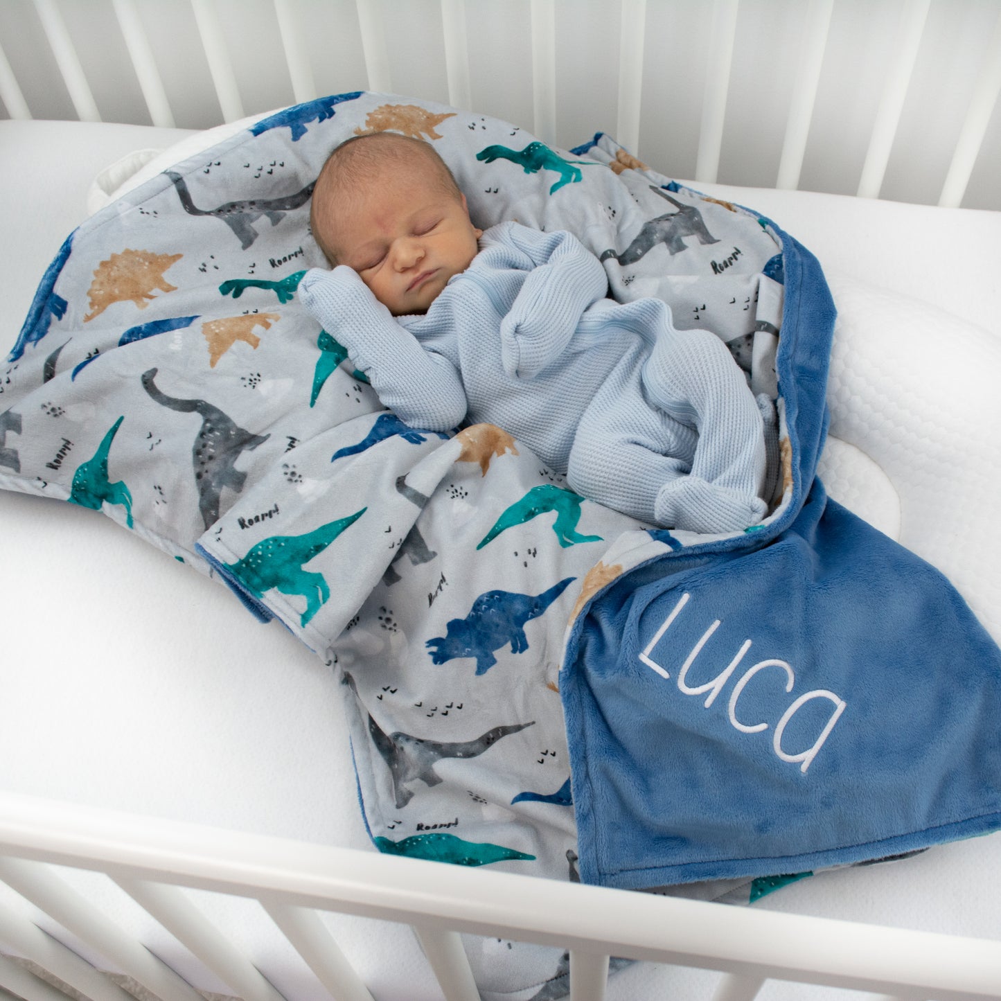 DINOSAUR BABY BLANKET