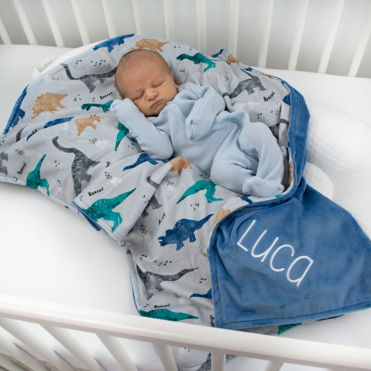 DINOSAUR BABY BLANKET