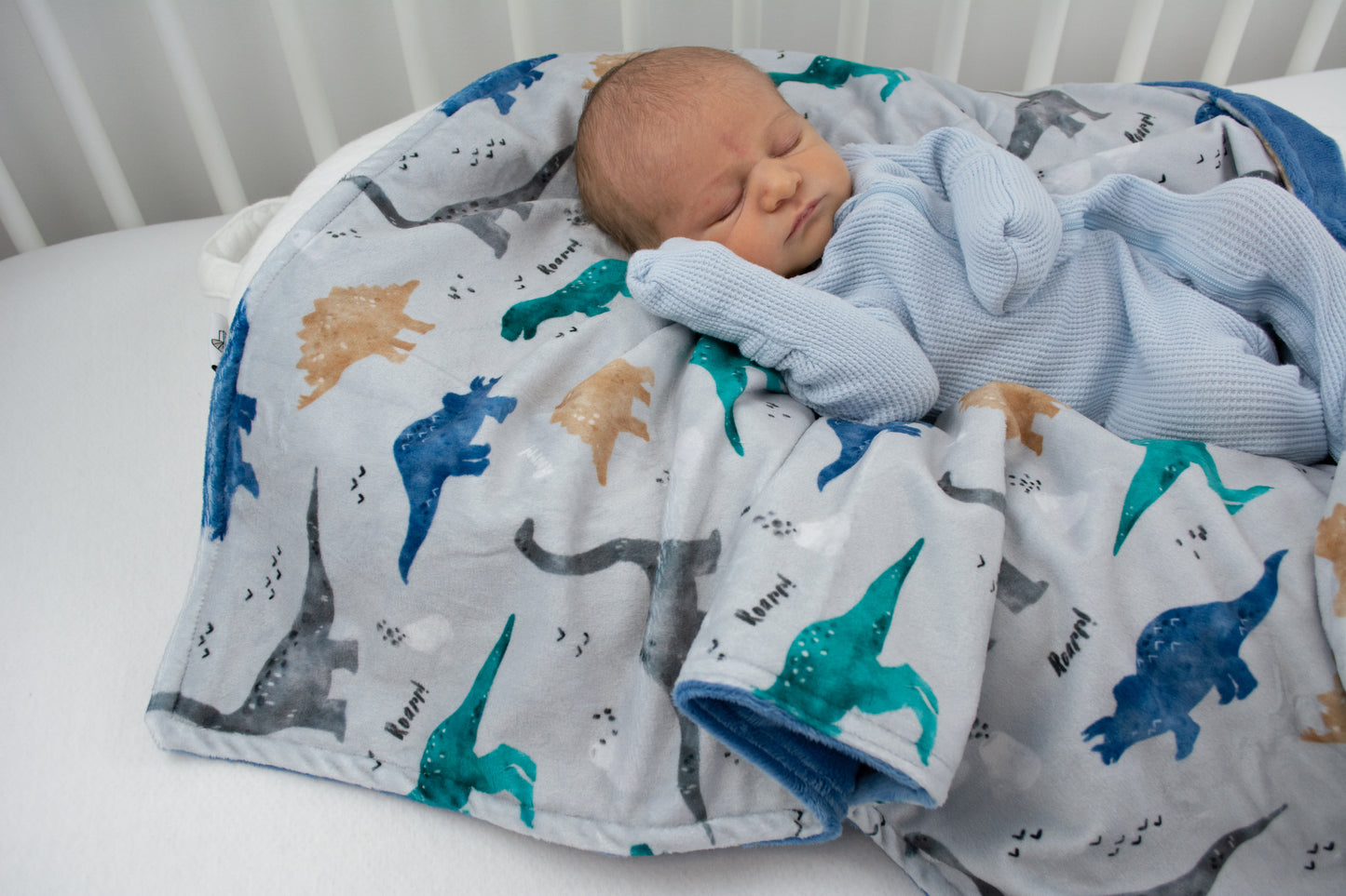 DINOSAUR BABY BLANKET