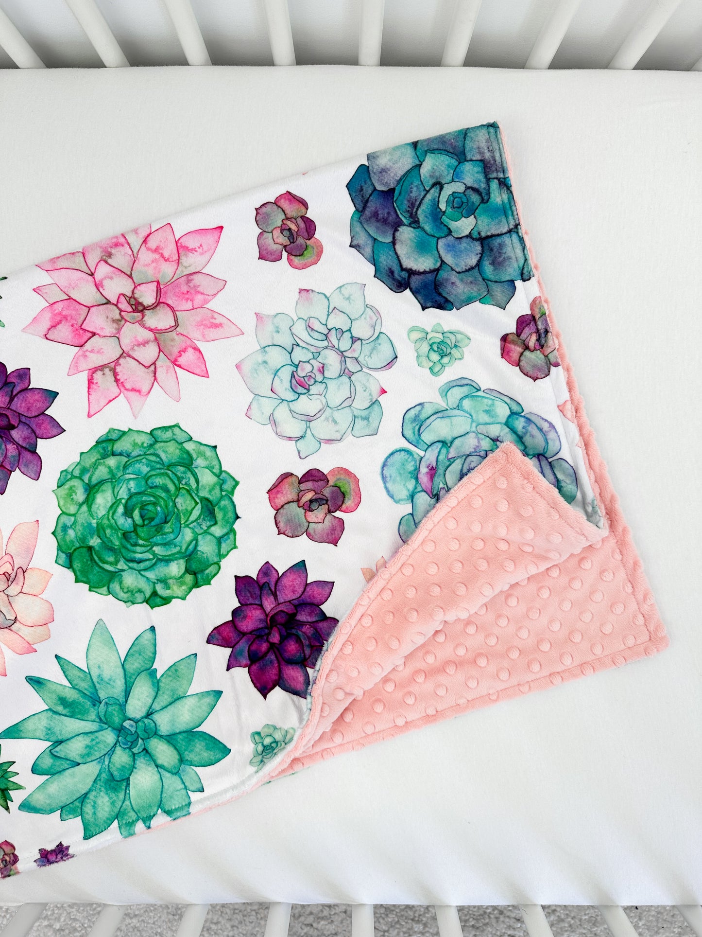 Succulents - Baby Size RTS