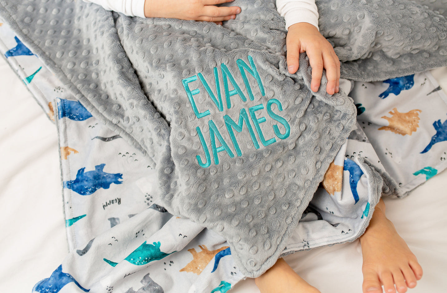 DINOSAUR BABY BLANKET