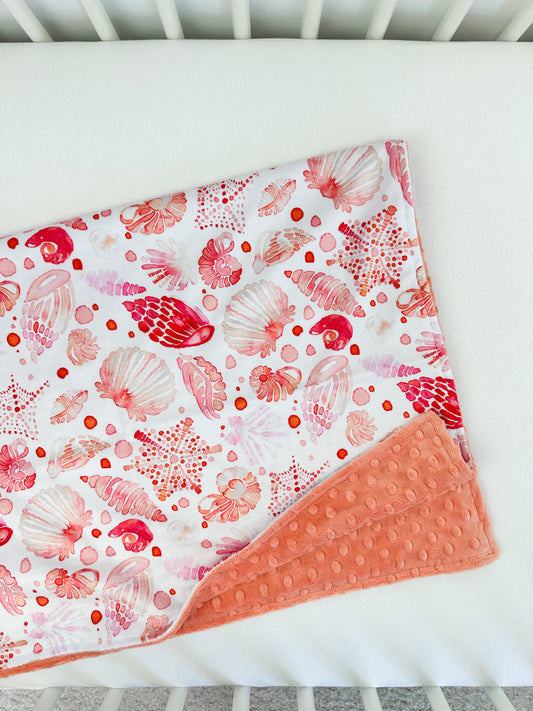 Seashells - Baby Size RTS