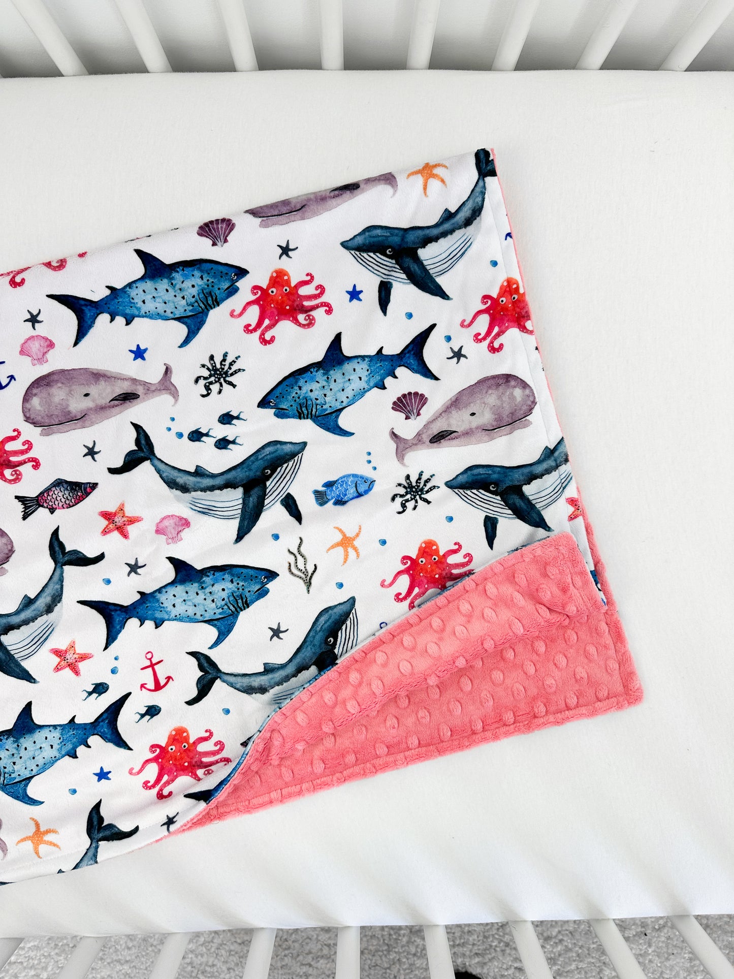 Sealife - Baby Size RTS