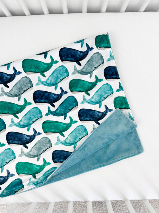Whales - Baby Size RTS